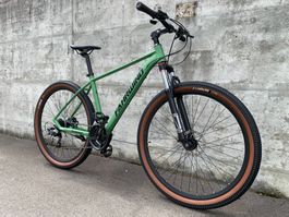 29 Zoll Mountainbike 21-Gang Shimano Parts MATT-Grün NEU