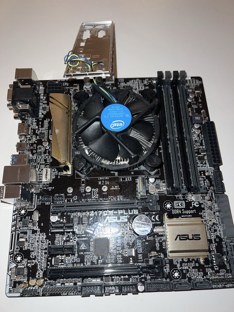 Asus Schede madri: Motherboard Z170M-Plus + Cpu – Usato da schellenberg venduto da freefostore
