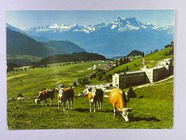 Leysin - Au fond, les Dents du Midi