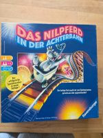 Das Nilpferd auf der Achterbahn