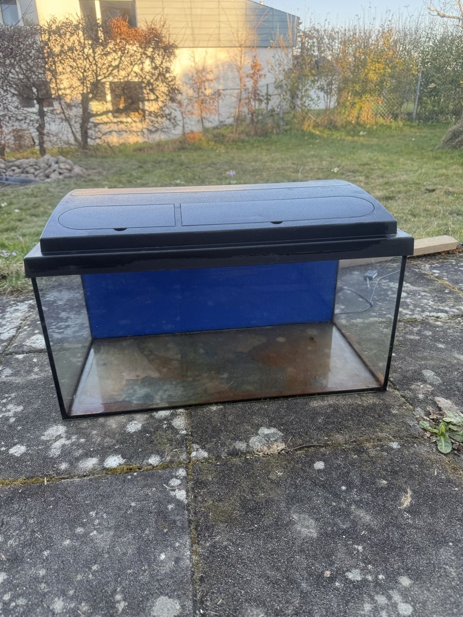 Acquari: Kleines Aquarium – Usato da Boniswil venduto da Tuningking222