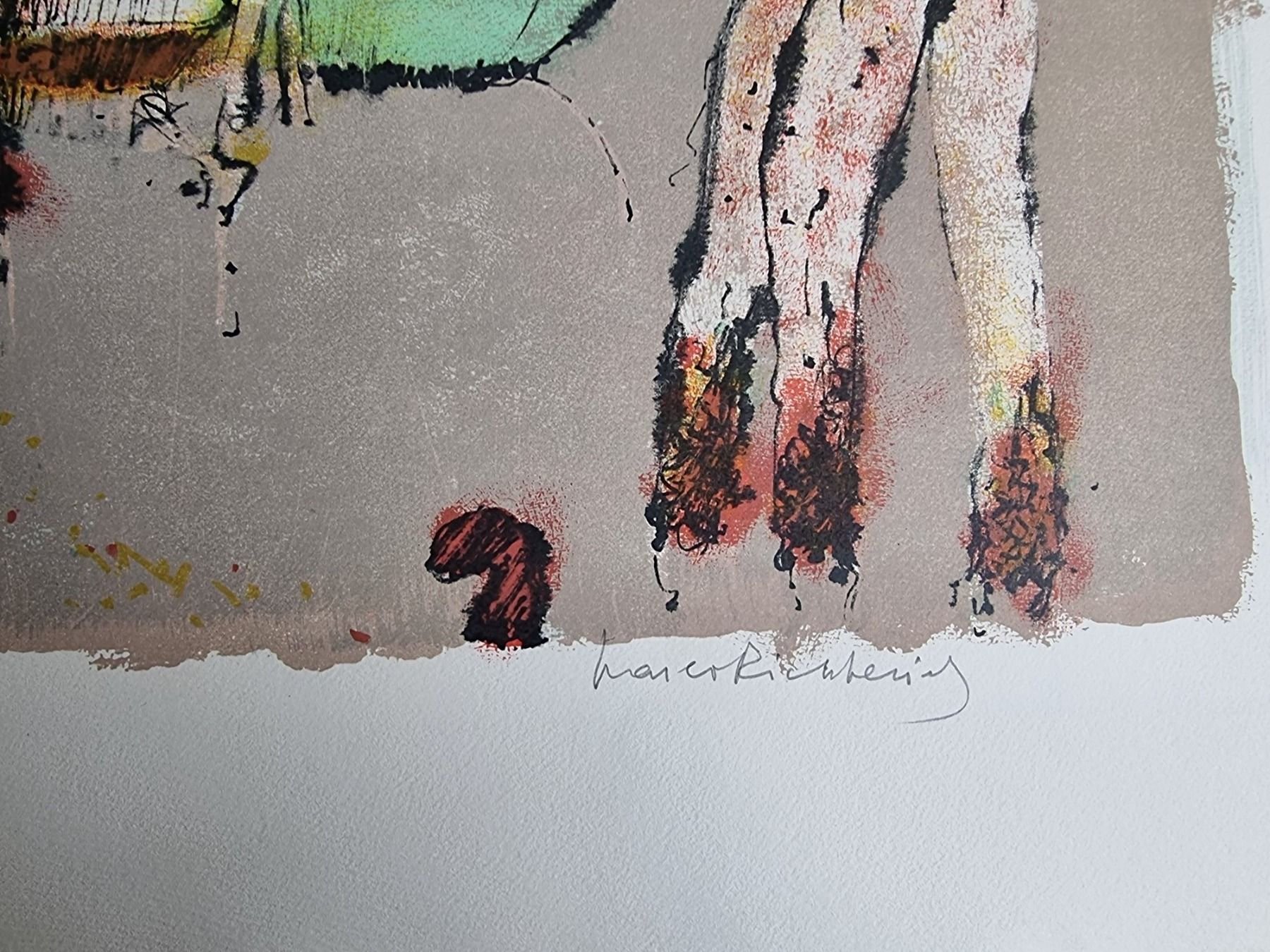 Grafica & Litografie: MARCO RICHTERICH LITHOGRAPHIE  SIGNIERT NUMMERIERT – Usato da Gersau venduto da kunst-online 2