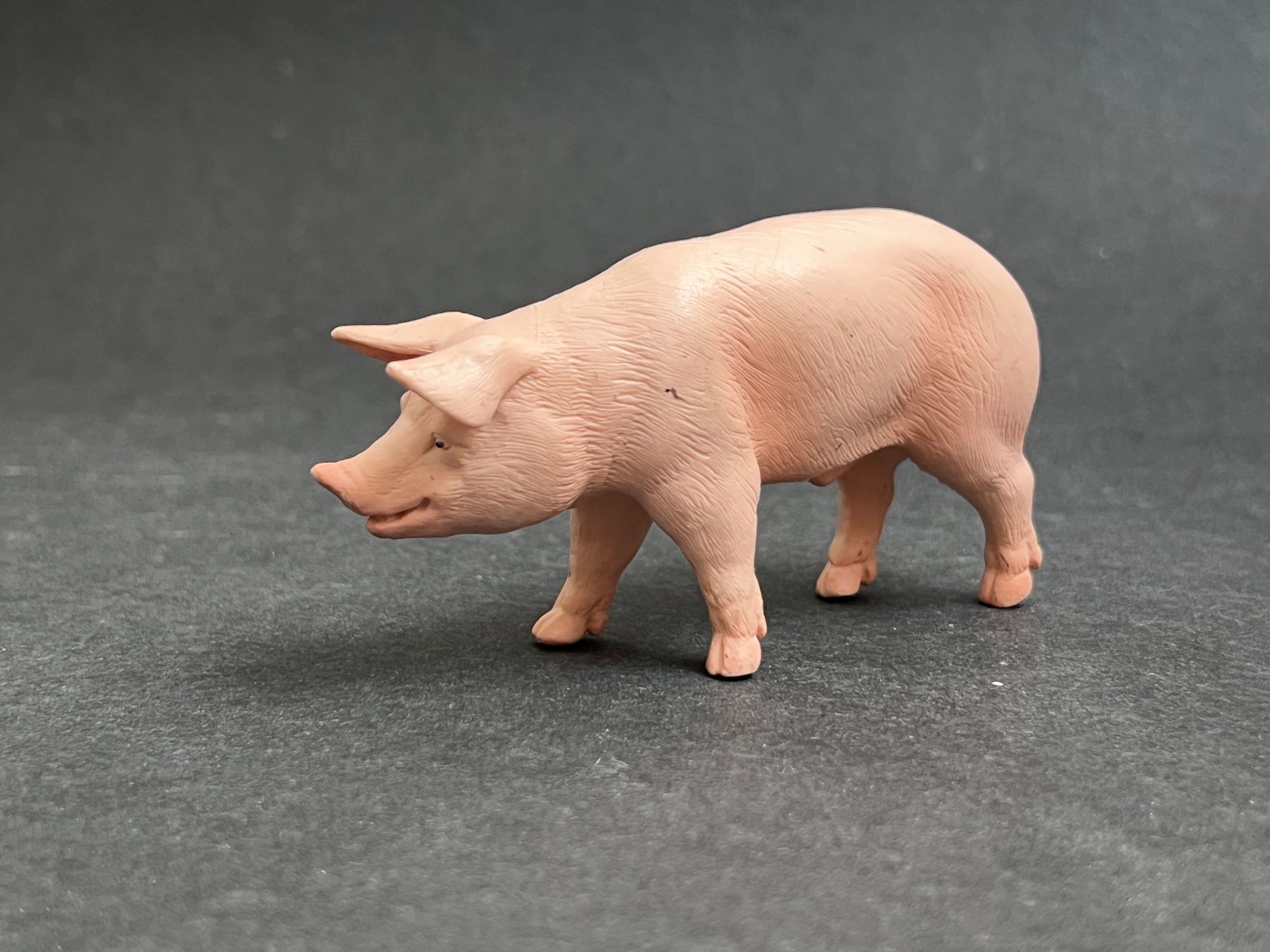 Schleich Statuette: Schleich Eber 13287 Schwein – Usato da Ennetbaden venduto da mapa05 3