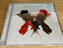 R6 Kings Of Leon – Only By The Night