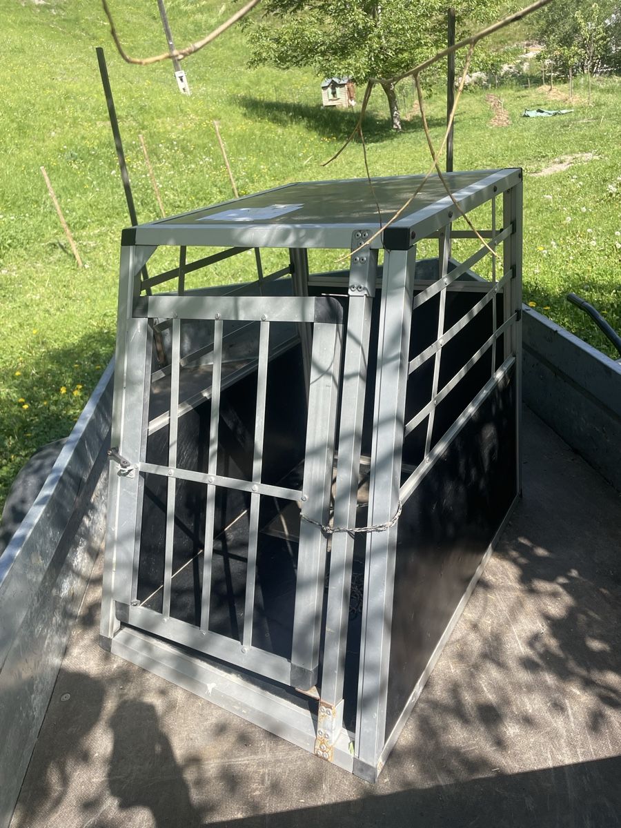 Gabbie, trasporto & Sicurezza: Cage chien pour voiture  – Usato da Erde venduto da tac_75wp