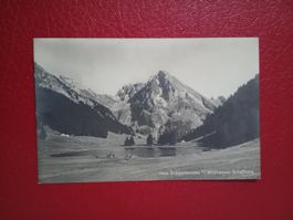 Gräppelensee St.Gallen mit Wildhauser Schafberg s/w Karte