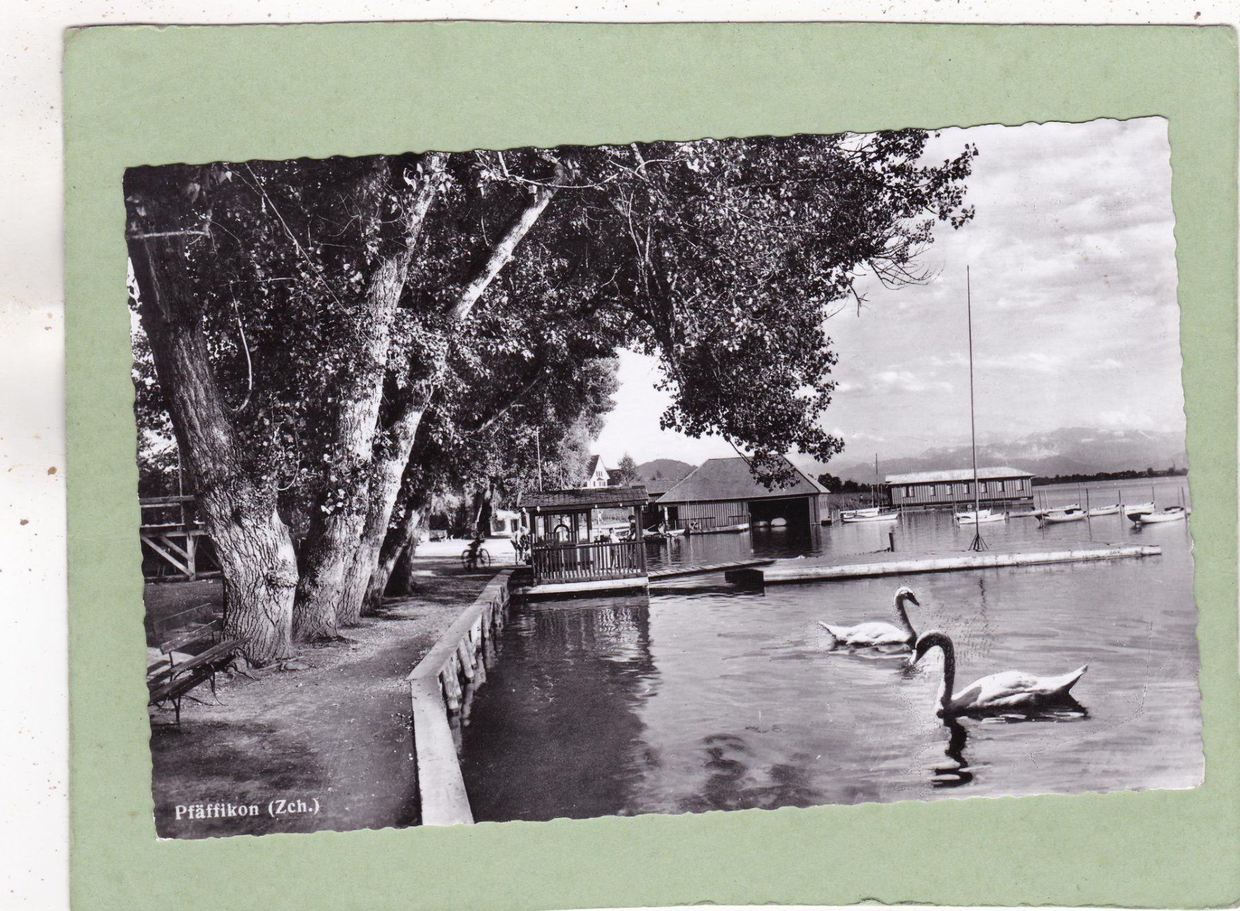Cartoline postali: Pfäffikon ZH – Usato da Herisau venduto da Lisegrat2008