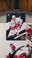 Marcus Sylvegard /60 Biel SportZoo Base blue