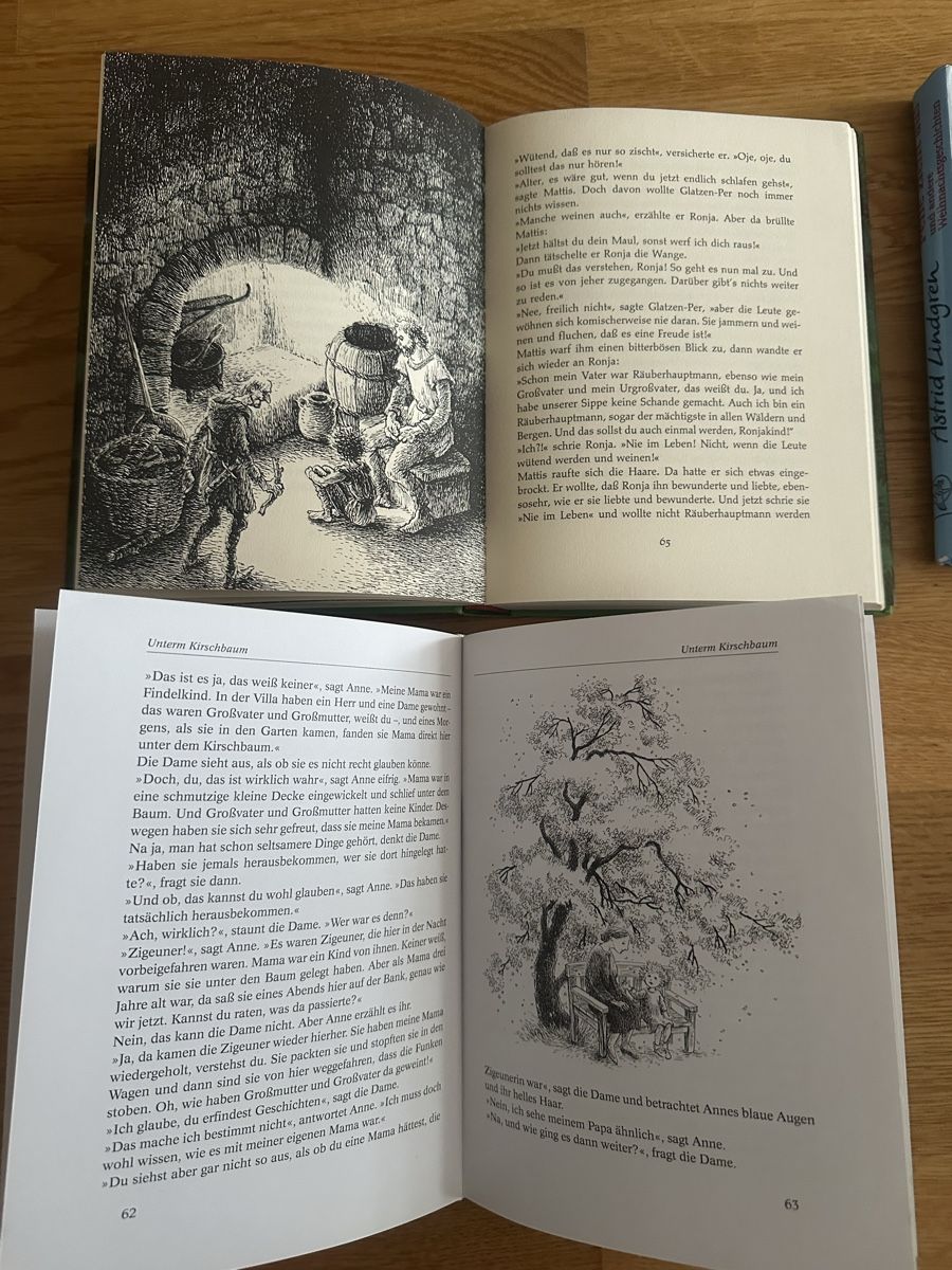 Bücher: Astrid Lindgren Büchersammlung – Gebraucht aus Affoltern am Albis von Sveta75 4