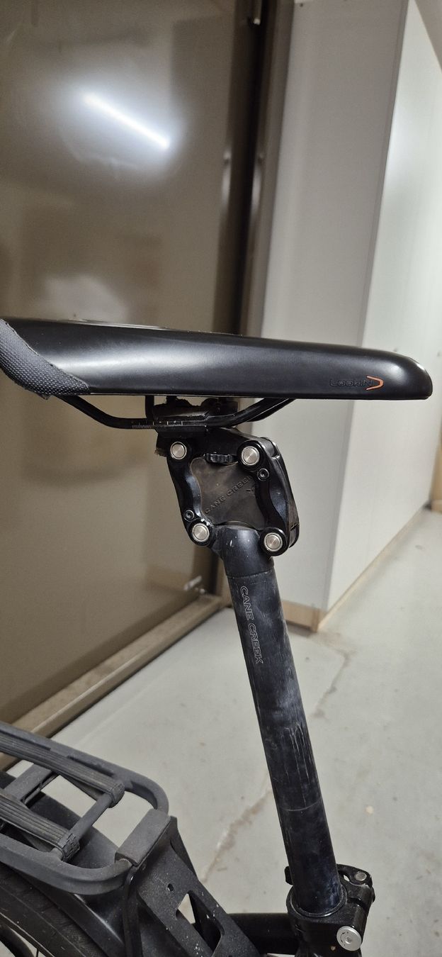 Riese & Müller Vélos: Cargo E- Bike – D'occasion à Rapperswil SG par Baum69 9