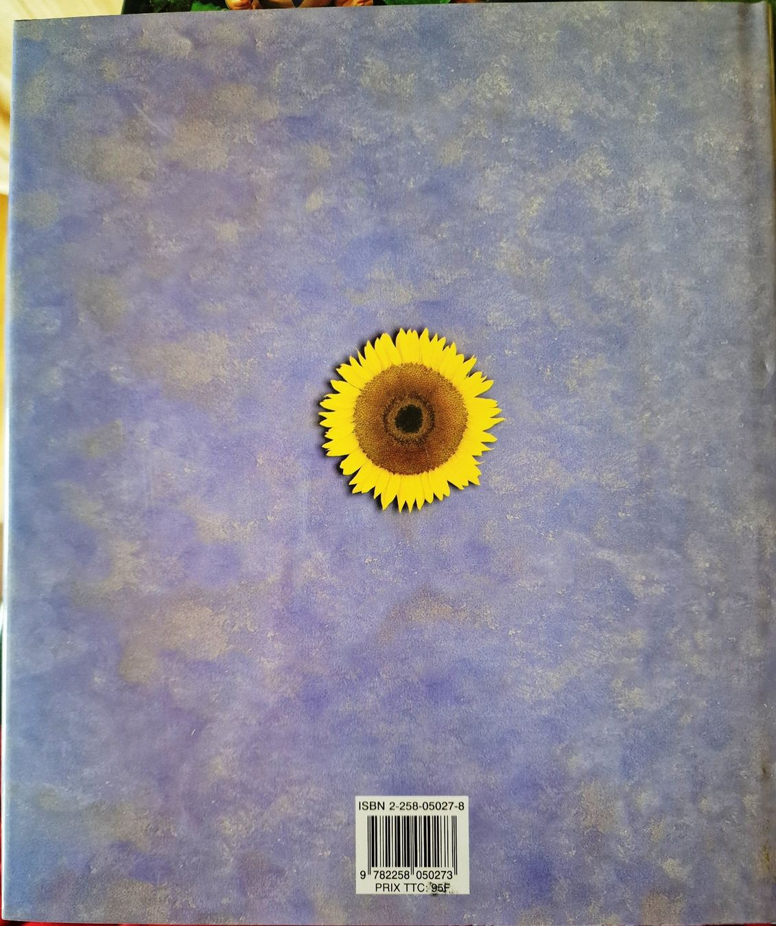 Libri: Anne Geddes – Nuovo (secondo la descrizione) da Bouveret venduto da Hannelor0 1
