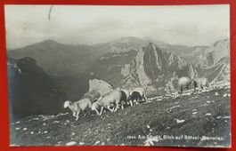 Am Säntis - Blick auf Bötzel-Marwies
