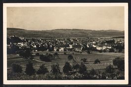 AK Uster, Ortsansicht mit Umgebung, 1931