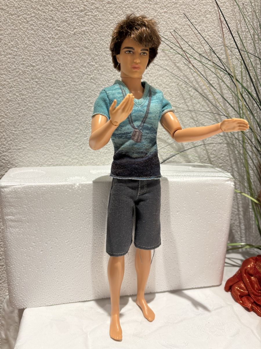 Bambole: Ryan Barbie Puppe Mattel 2011 – Usato da Flums venduto da Limatools