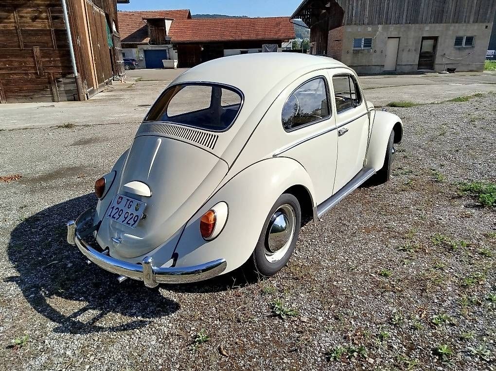 Autos: VW Käfer Export de Luxe – Gebraucht aus Weinfelden von Bessi_01 1