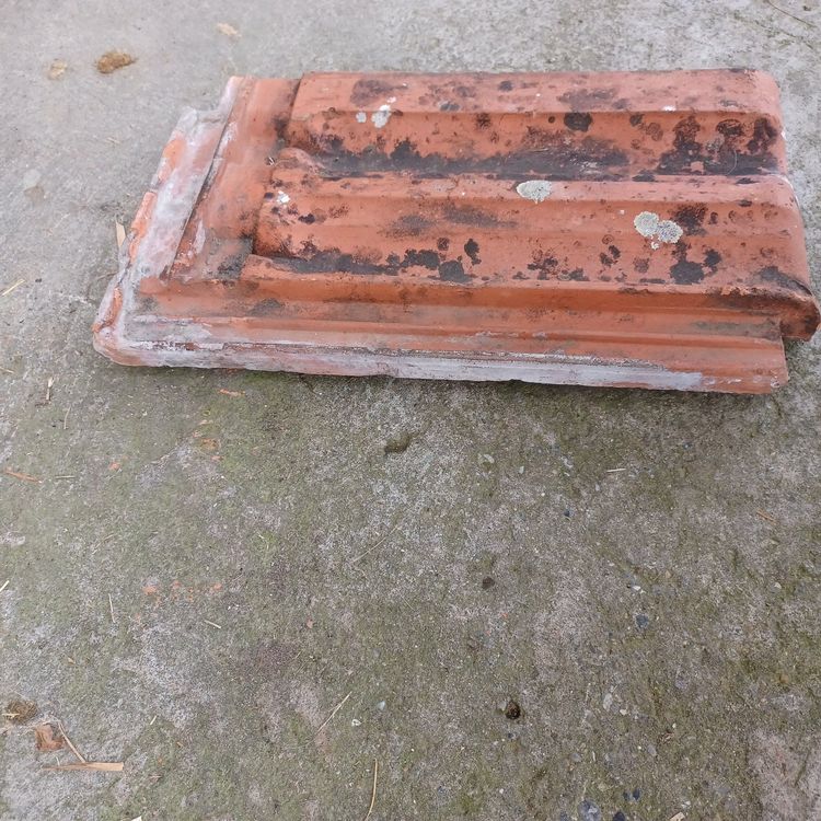 Doppelmuldenfalzziegel Kaufen auf Ricardo