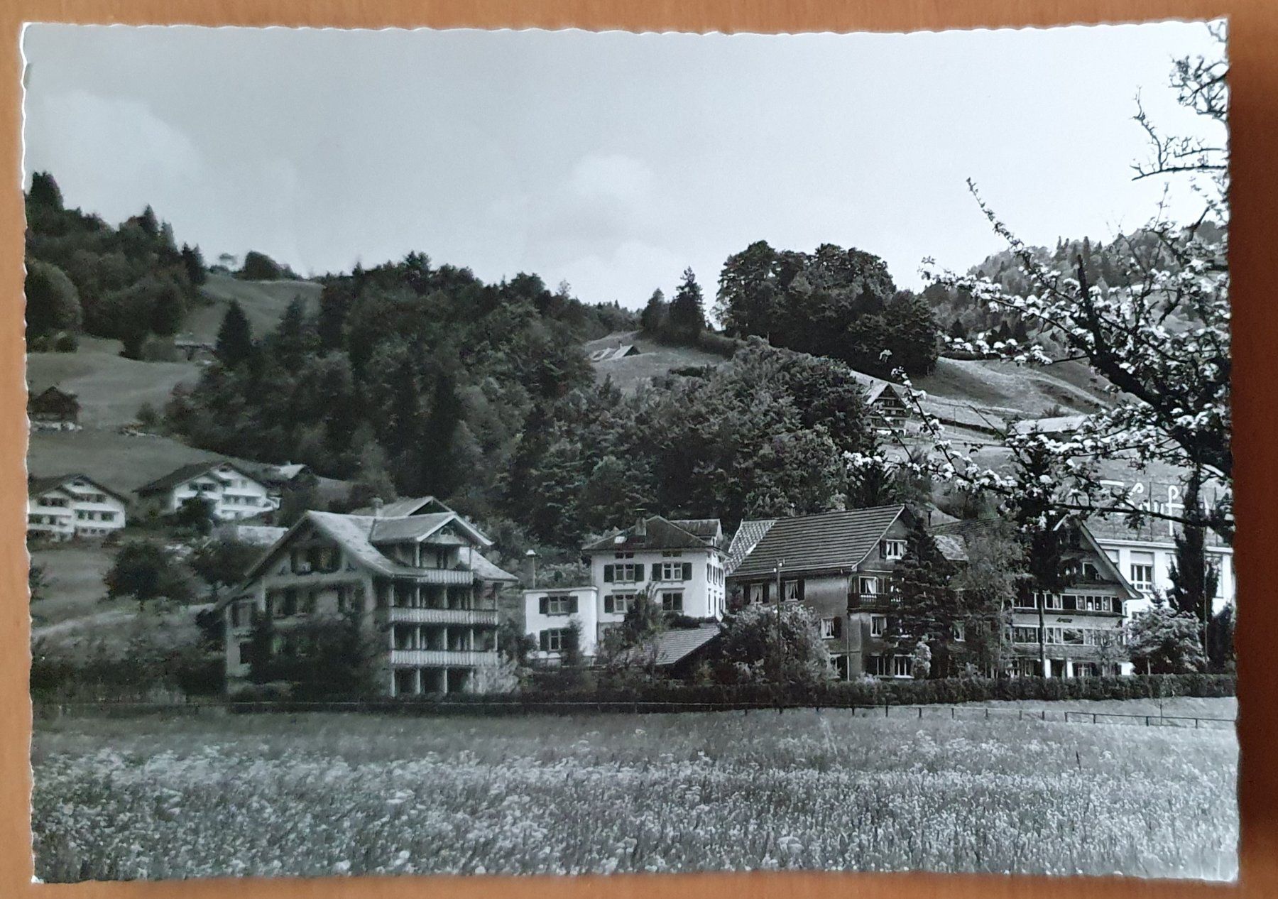 Cartoline postali: Ebnat-Kappel 1967 – Usato da Kreuzlingen venduto da Rschweiz1