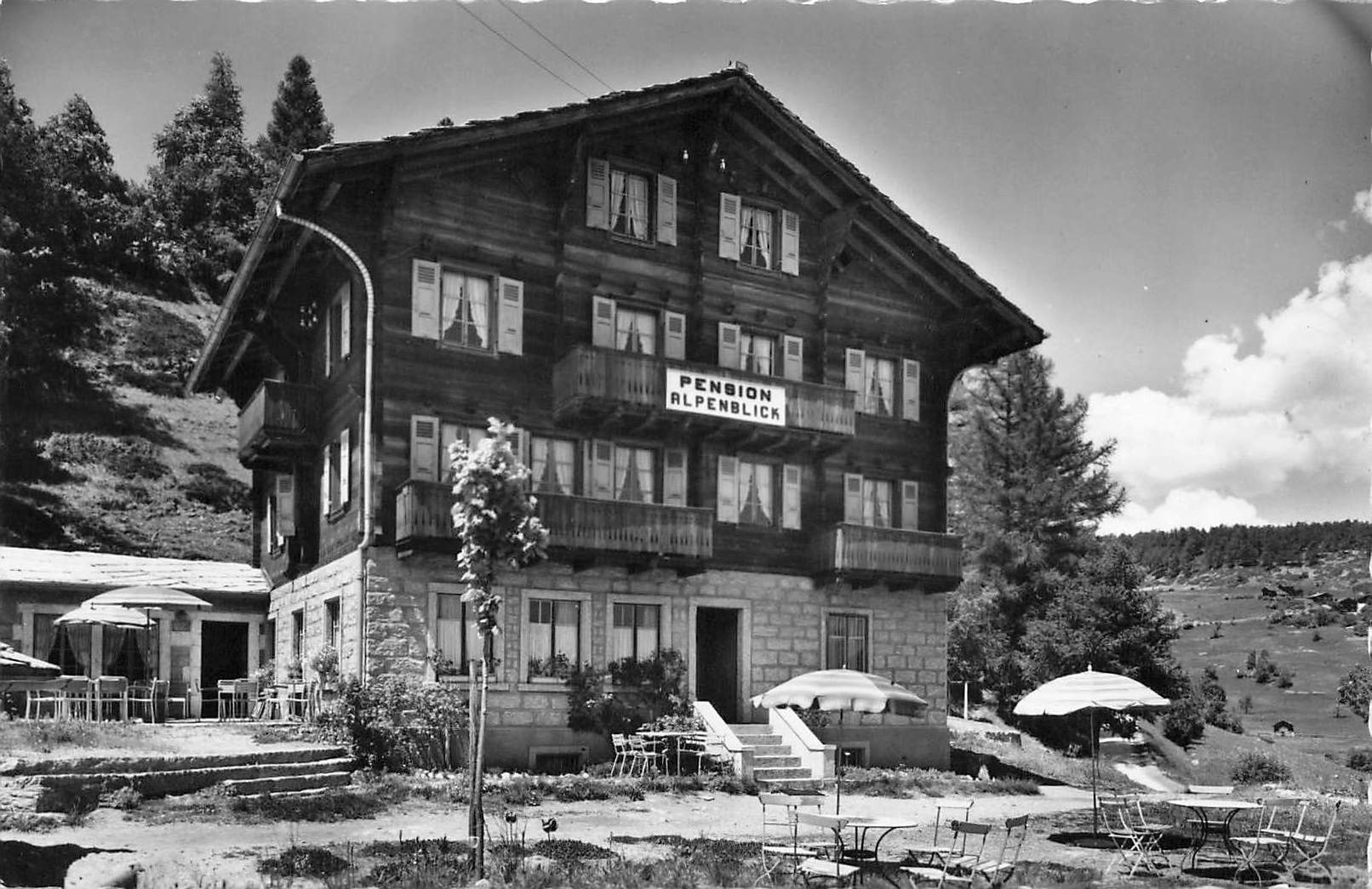 Cartoline postali: Pension alpenblick zeneggen wallis – Usato da Biasca venduto da Blenio71