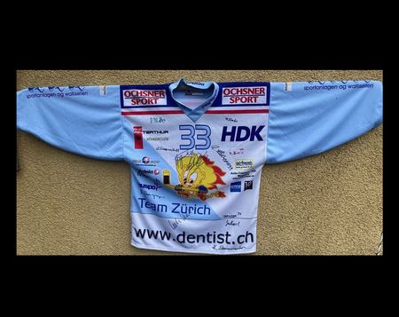 Originales Eishockey-Shirt Team Zürich, Grösse L