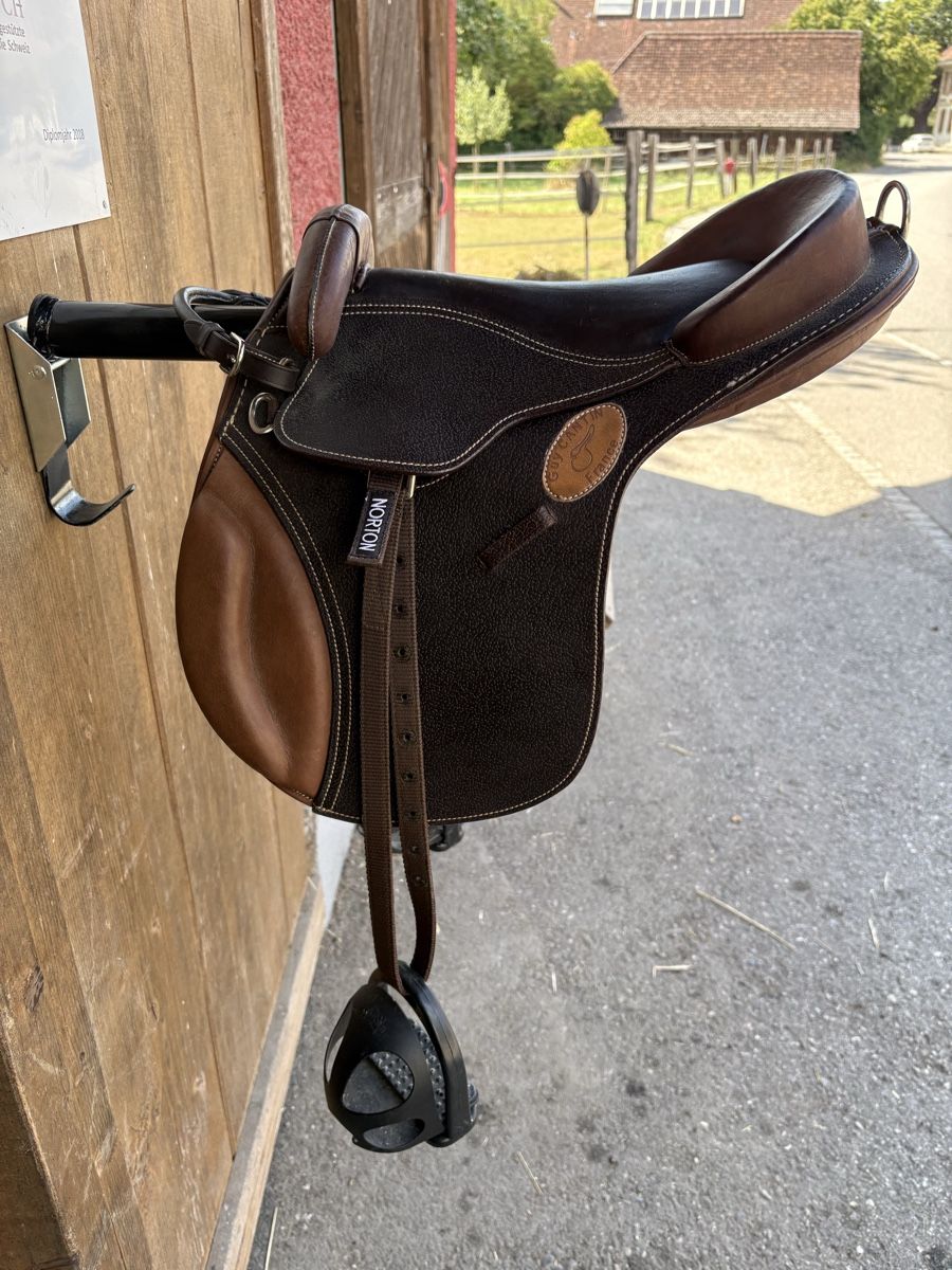 Selle & Accessori: Shetty Sattel Guy Cantin mit Zubehör – Nuovo (secondo la descrizione) da Ersigen venduto da mealagh 2