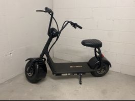 Elektro Scooter E-Roller 