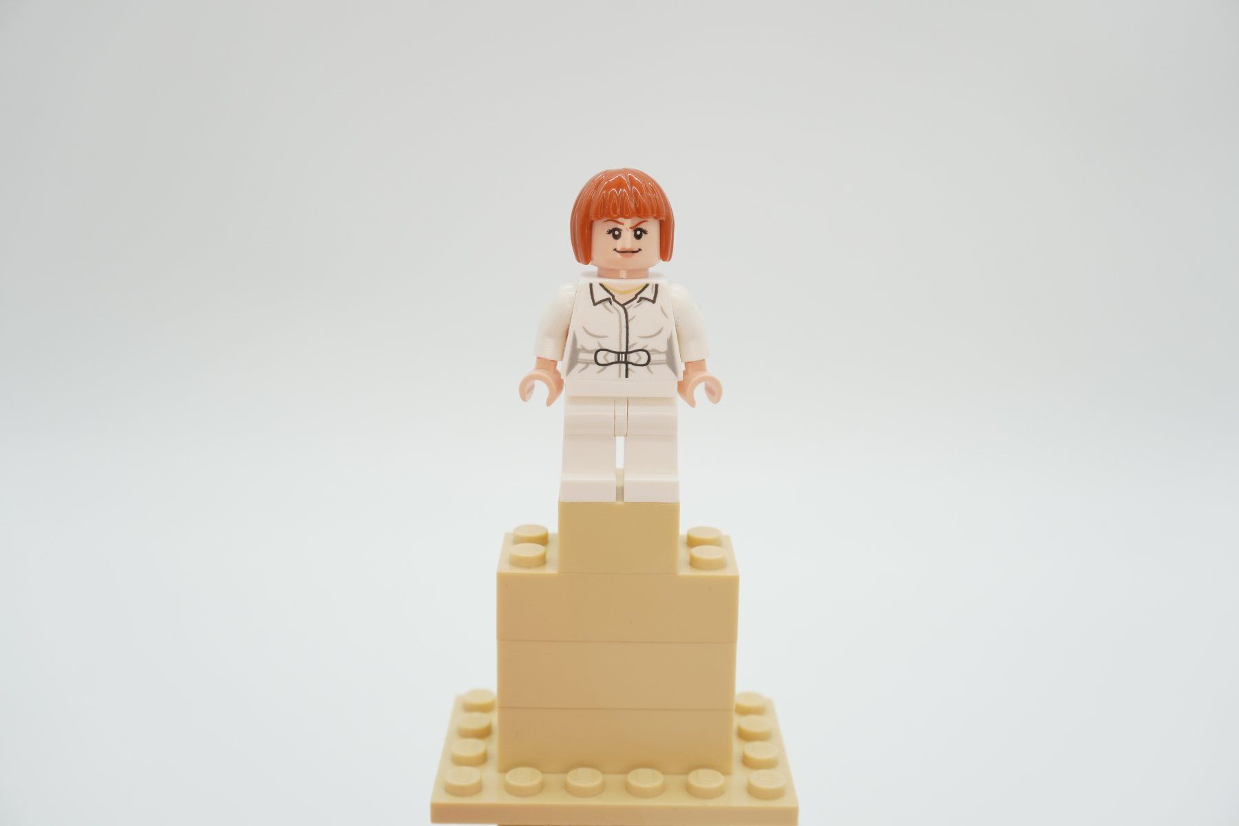 Lego Spielzeuge: Lego Jurassic World Bundle – Gebraucht aus Zürich von PWGrZ 4