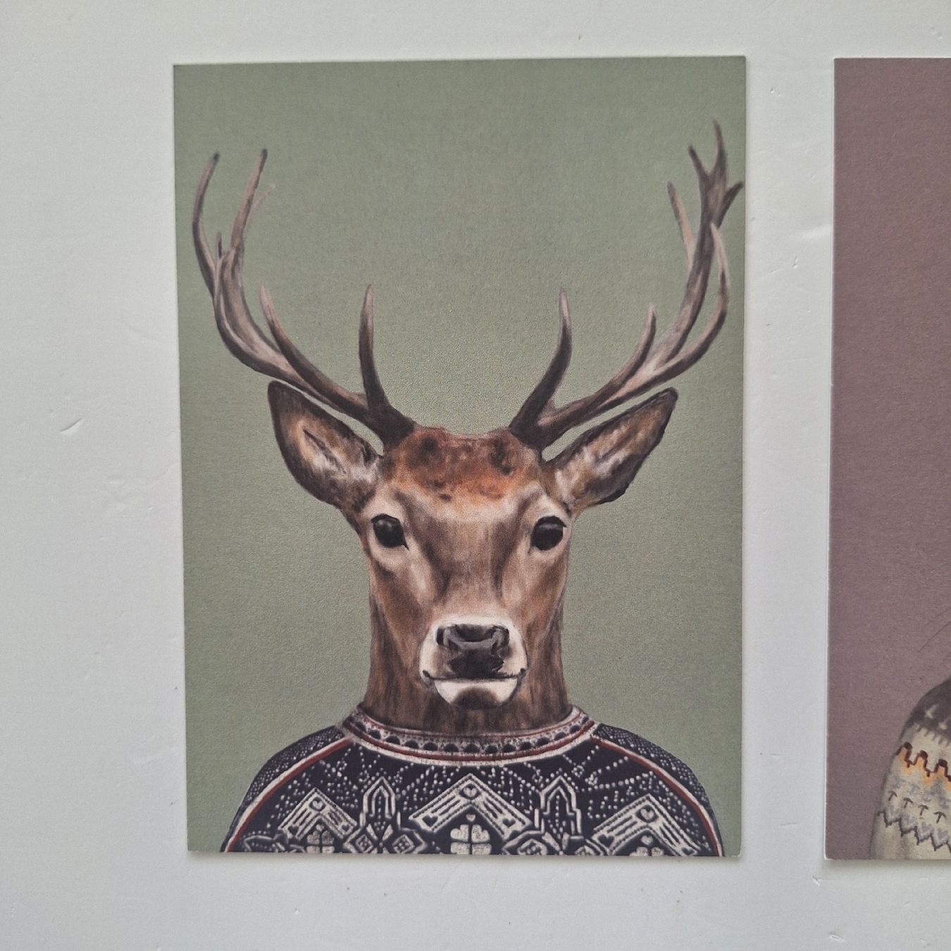 Cartes postales: 3 Postkarten - Igel - Hirsch - Eichhörnchen – Neuf (Voir description) à Basel par Kunterbunt12 1