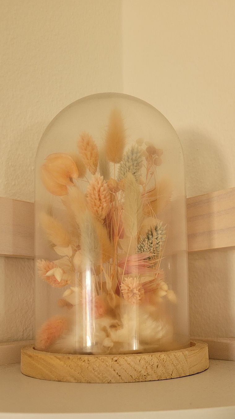 Alle Dekorationen: décoration cloche fleurs séchées  – Gebraucht aus Lausanne von mar_82hp