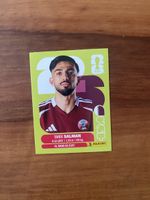 Panini QAT 8
