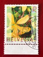 Nr.1073 Echtes Johanniskraut Pflanzen GESTEMPELT 2003    