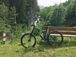 Canyon Spectral AL 8.0 EX 2016 in Vertical Green