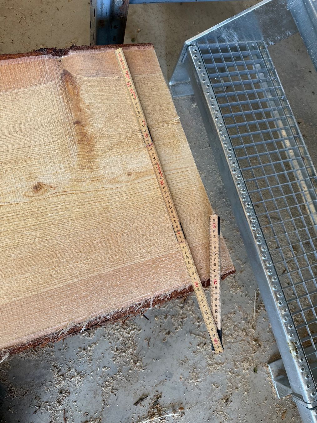 Articoli in legno: Thuja Bretter ganzer Stamm – Usato da Holziken venduto da Timbergrizzly 6