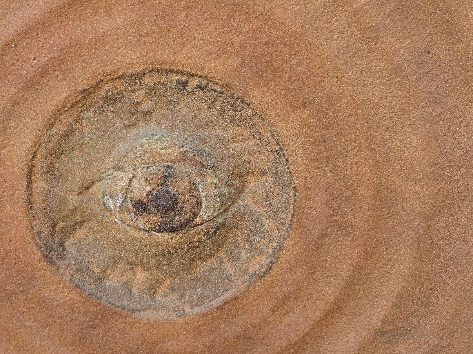 Gemälde: Bild "Auge" signiert B. Kiefer 80  – Gebraucht aus Mettlen von elios0888 1