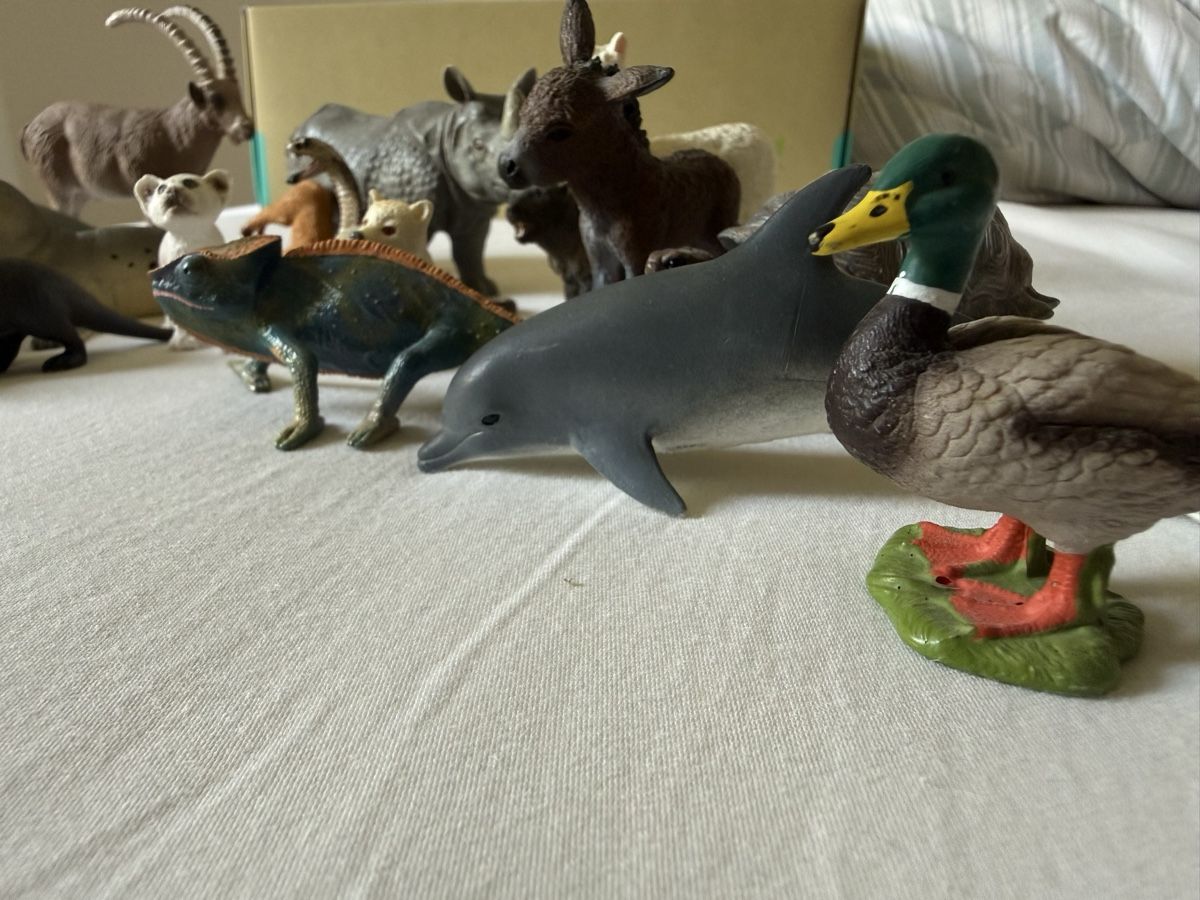 Schleich Statuette: 19 Schleich Tiere  – Usato da Zürich venduto da zuerich16 3