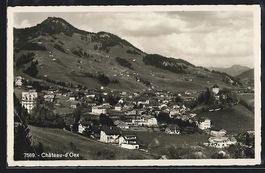 AK Château-d'Oex, Blick auf den Ort