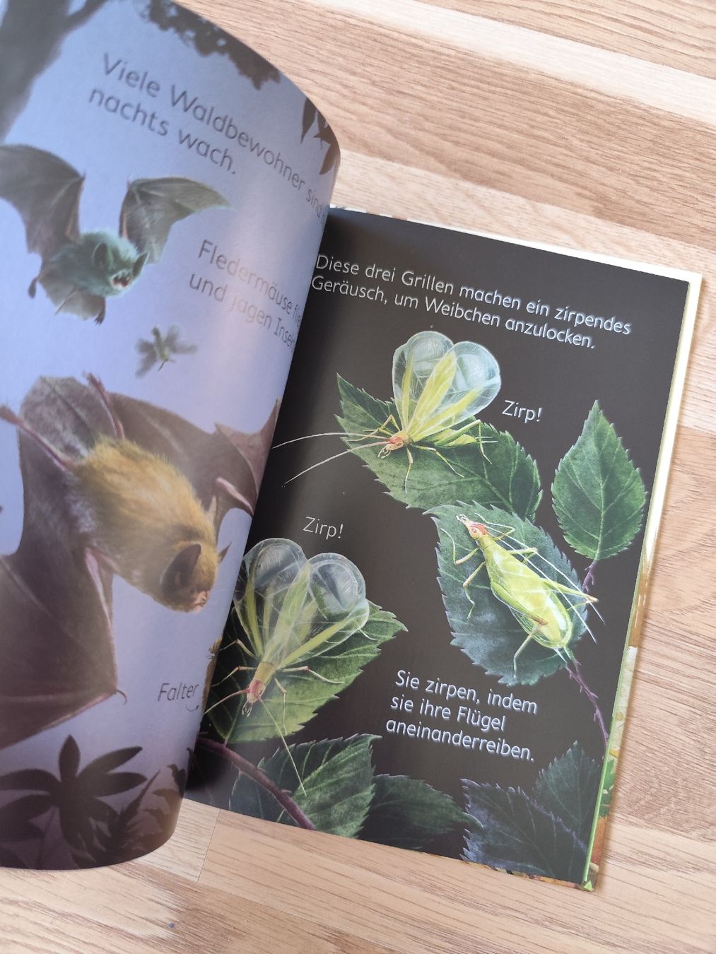 Livres: Waldtiere Usborne – D'occasion à Mägenwil par VintageGirly 3