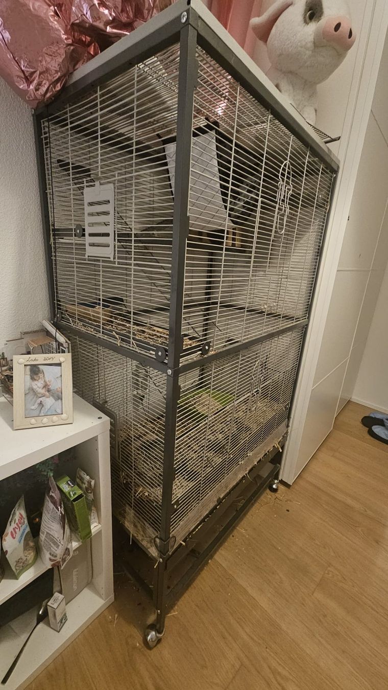 Gabbie, trasporto & Sicurezza: Vogelkäfig  / Nagetierkäfig – Usato da Baden venduto da mor_qlk6 2