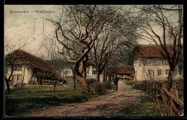 AK Wiedlisbach, Stierenweid, Ortspartie mit Strasse