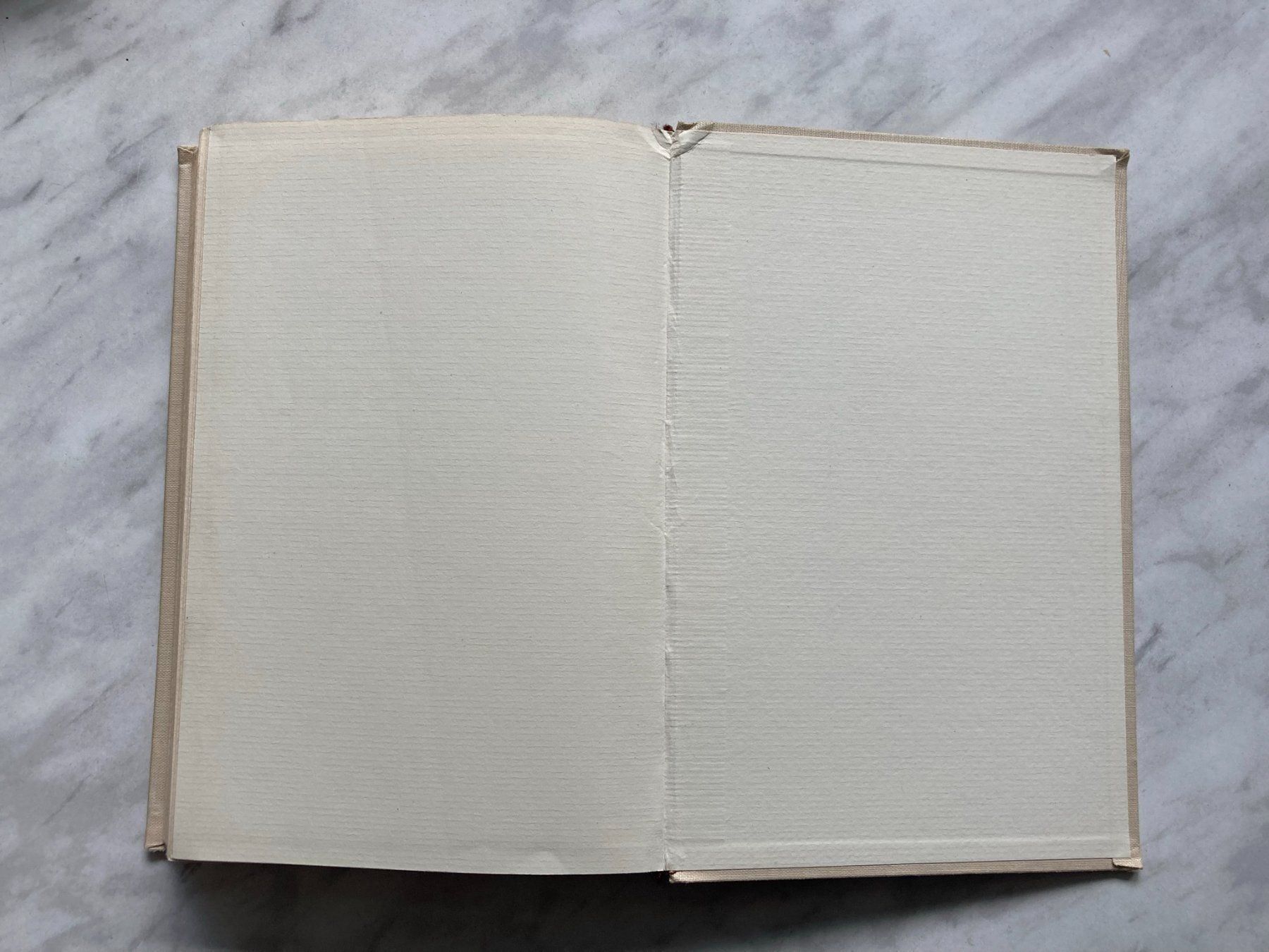 Libri: Renni der Retter – Usato da Mirchel venduto da buecher_wurm 8