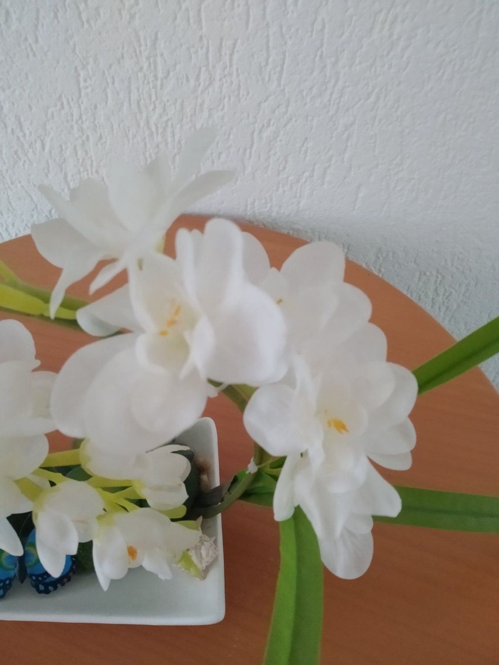 Piante & sementi: Orchidee künstlich – Nuovo e nell'imballaggio originale da Münchenbuchsee venduto da Cori1968 1