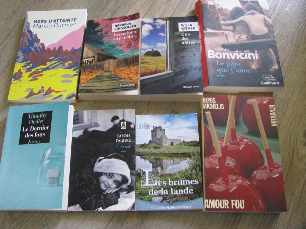 Libri: Lot de 8 Romans : Bonvicini, Hope, etc... – Usato da Zweisimmen venduto da Domii