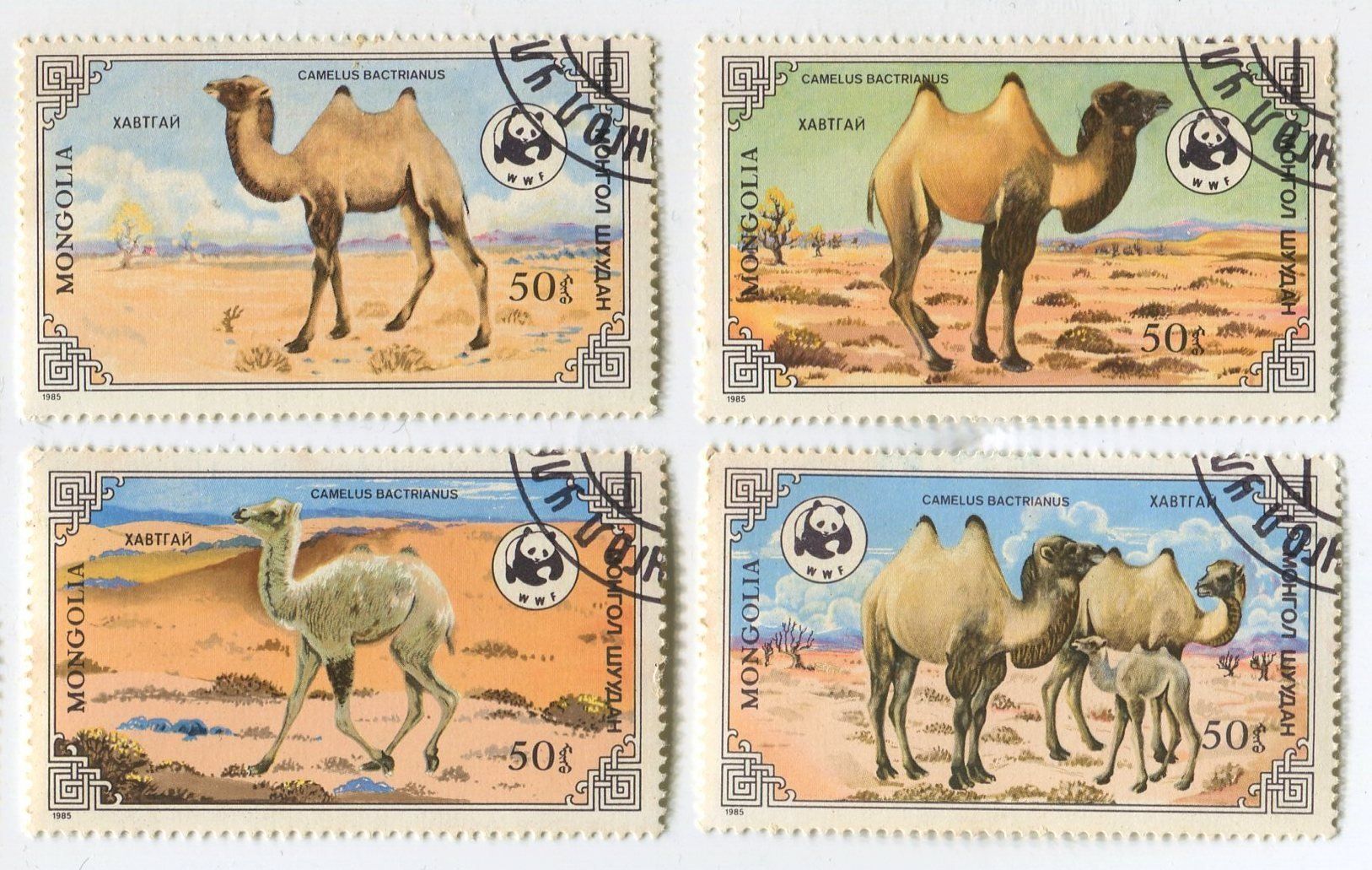 Tous les timbres: Briefmarken "Kamele". Mongolei. – D'occasion à Basel par Butsch5