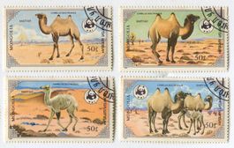 Briefmarken "Kamele". Mongolei.