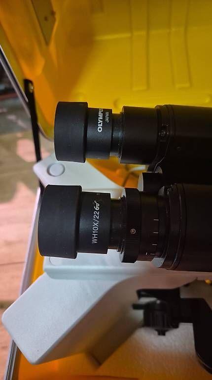 Olympus Mikroskopie: Olympus BX41 Mikroskop (Marcel Aubert SA) – Gebraucht aus Ulmiz von sab_bl9r