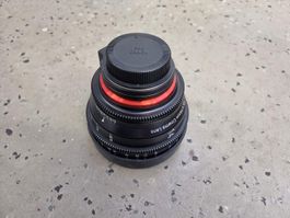 XEEN 14mm Cinema Lens T/3.1 mit EF-Mount