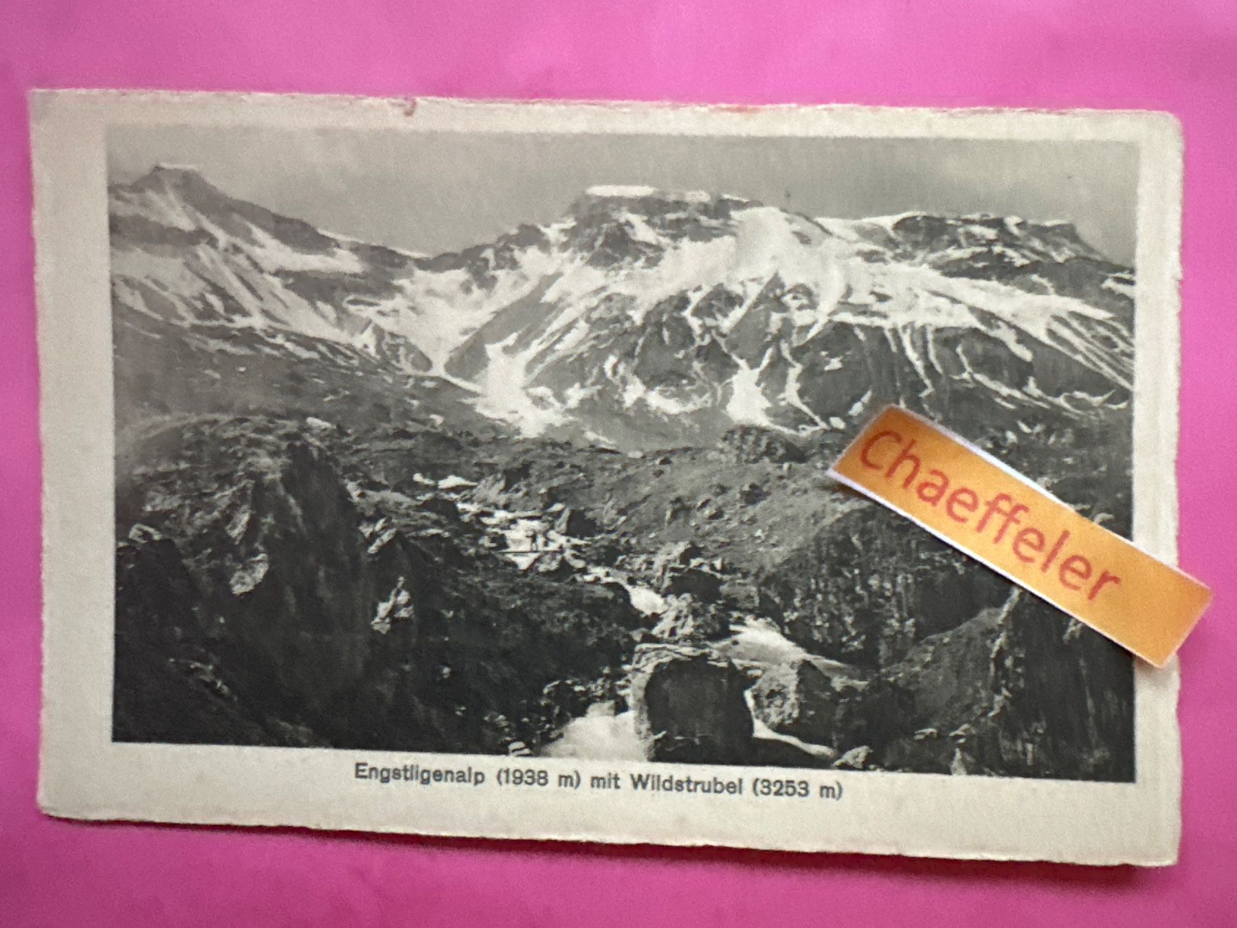 Ansichtskarten: Engstligenalp mit Wildstrubel – Gebraucht aus Zürich von Chaeffeler
