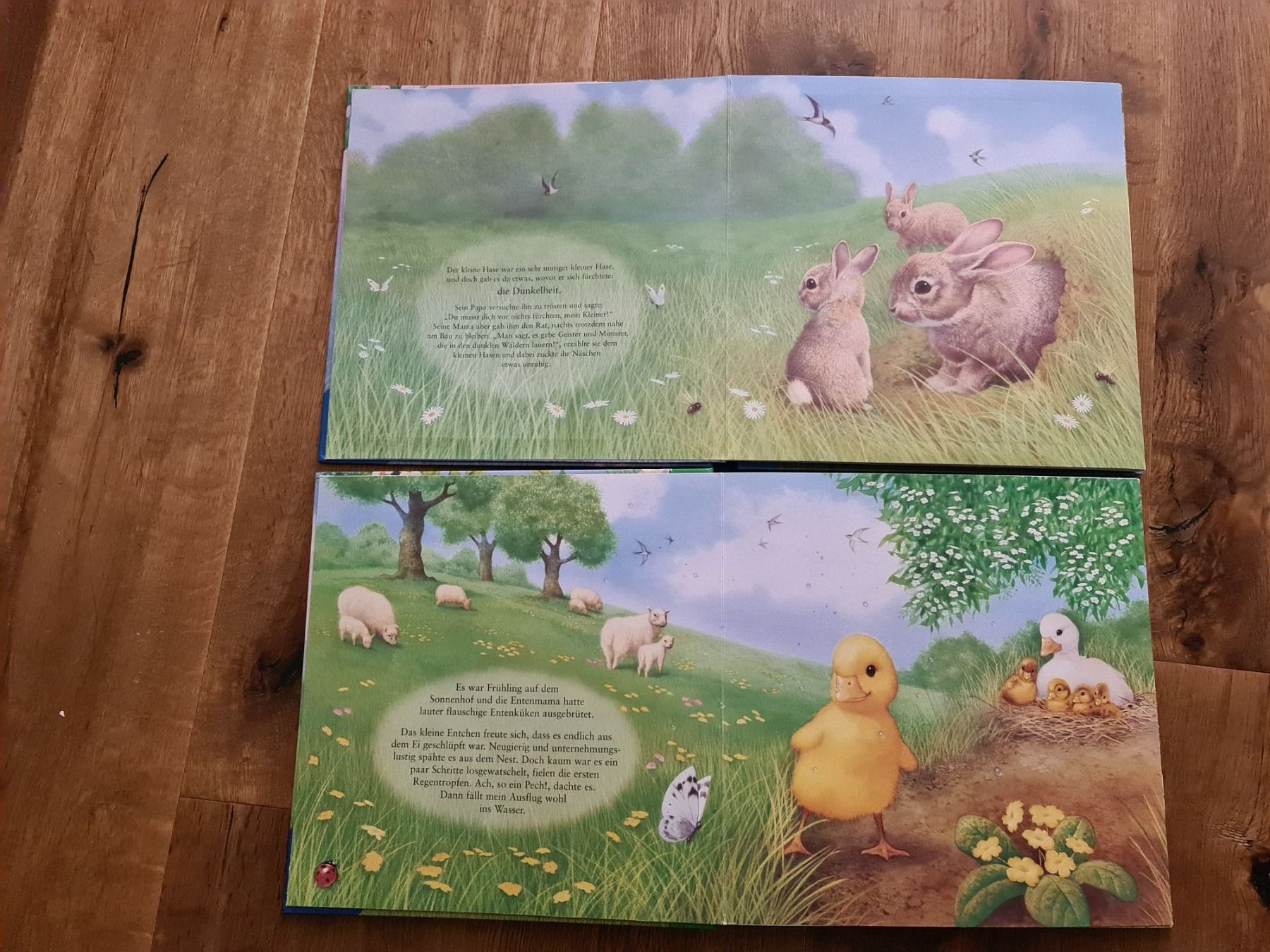 Libri: Ravensburger tierbüecher mit bewegungsbilder – Usato da Wittenbach venduto da Tigerlili 2
