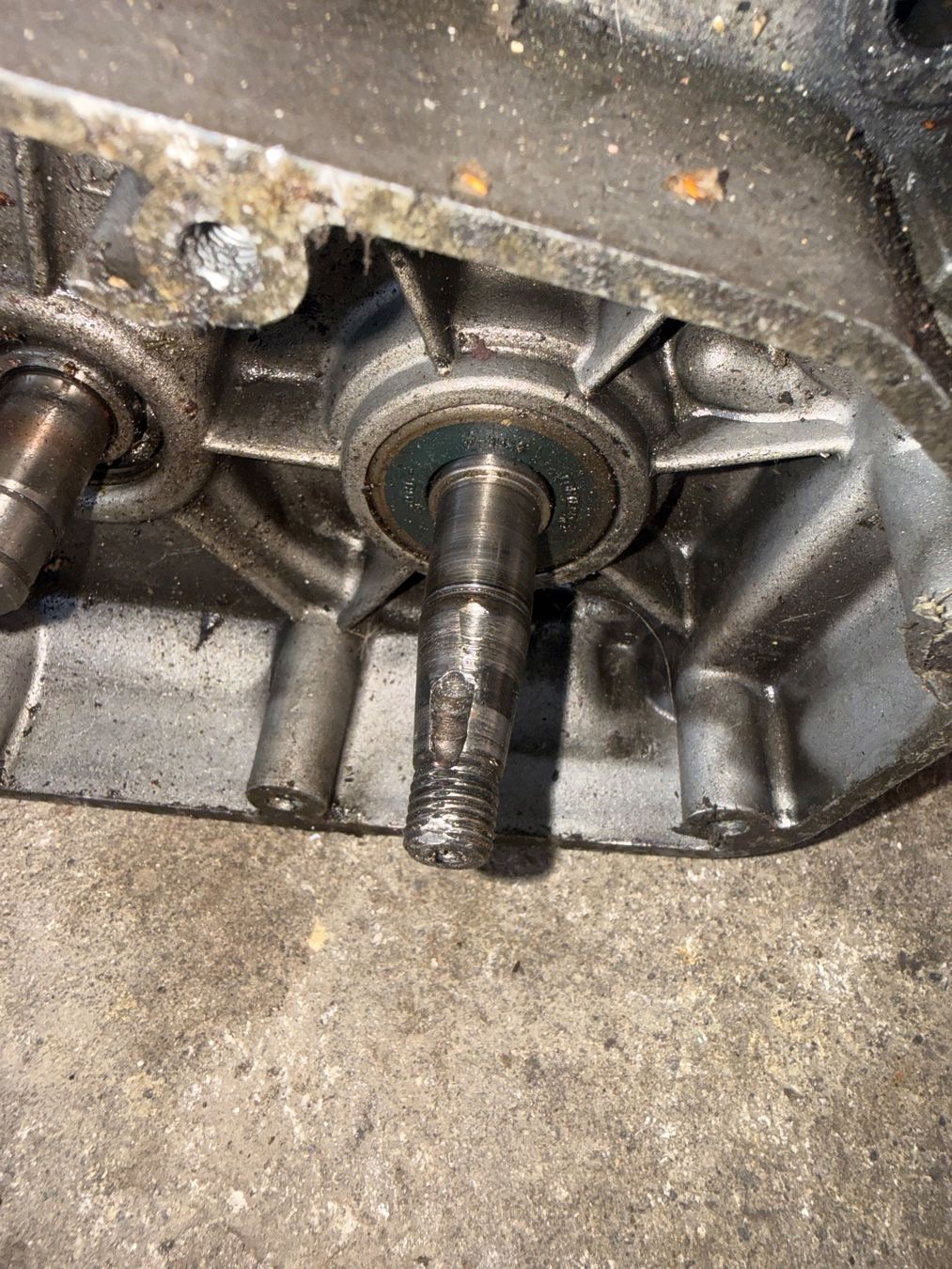 Fantic Motori: Fantic Issimo Mofa Motor – Difettoso da Fahrni b. Thun venduto da berger_tuning34 2