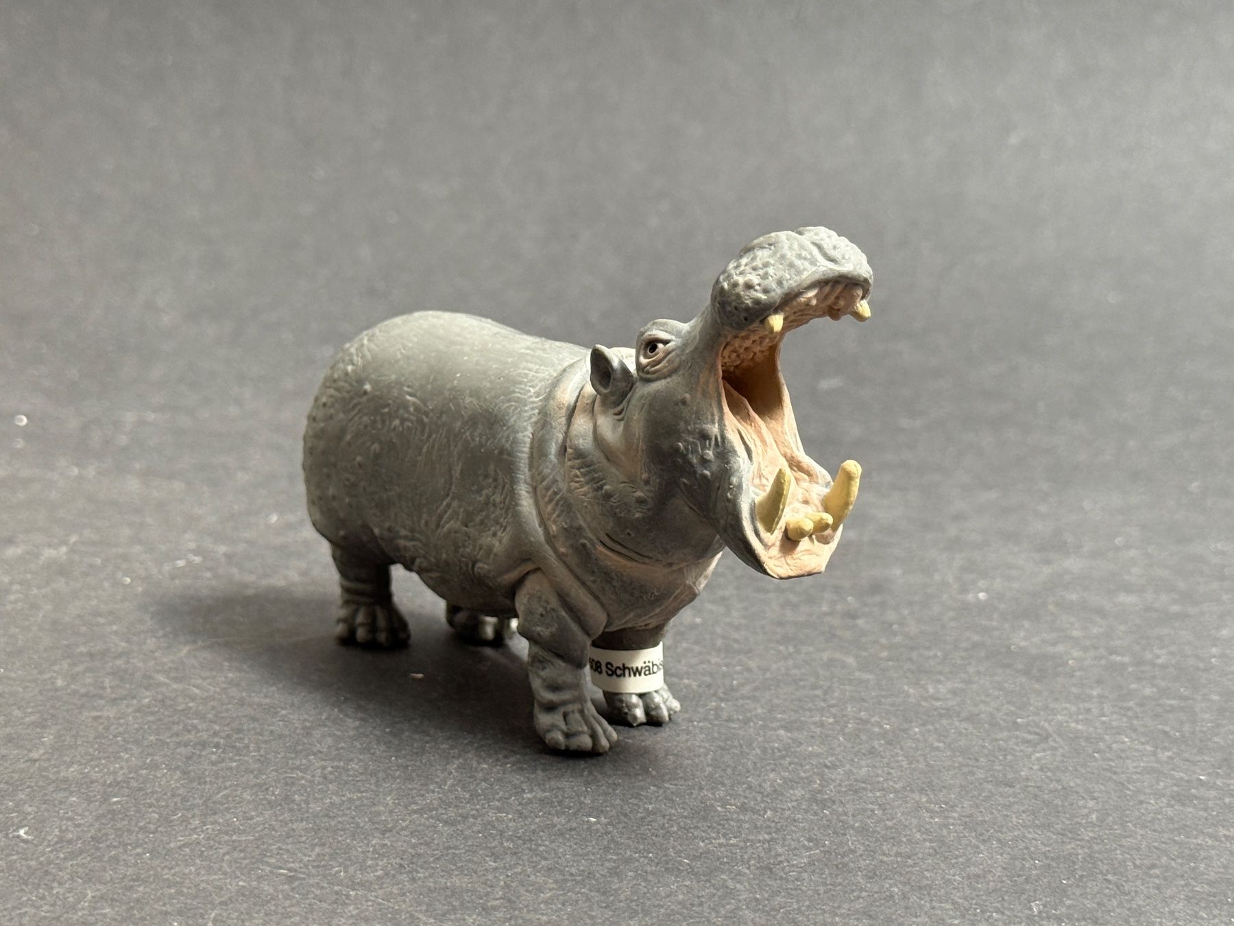 Schleich Statuette: Schleich Nilpferd Flusspferd Kalb – Nuovo (secondo la descrizione) da Ennetbaden venduto da mapa05 8