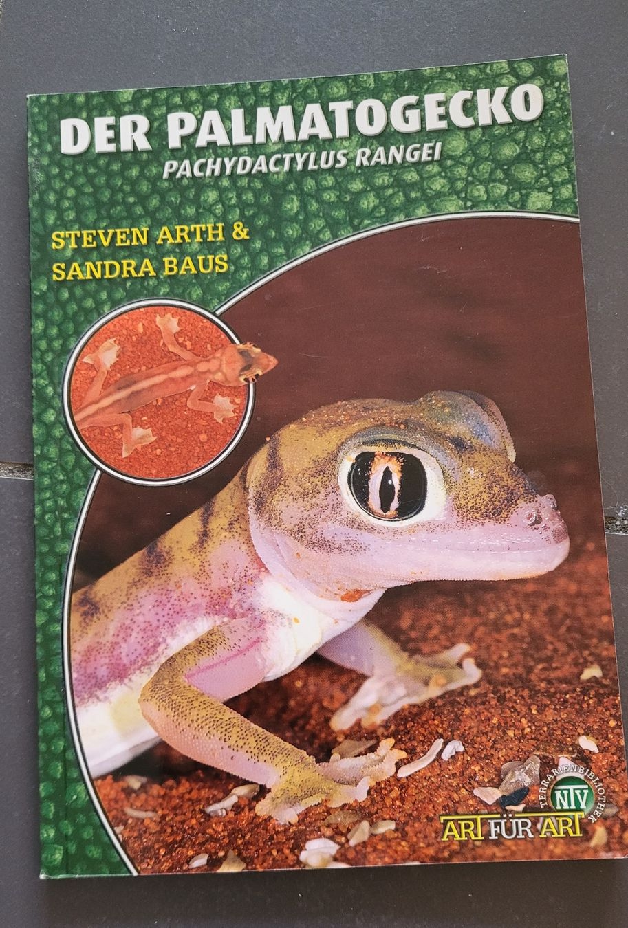 Libri: Buch Der Palmatogecko  – Usato da Kappel SO venduto da Matschi86